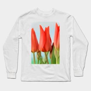 Tulipa praestans  &#39;Van Tubergen&#39;s Variety&#39;  Miscellaneous tulip Long Sleeve T-Shirt